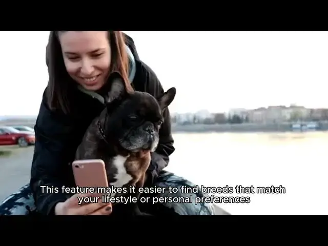 'Video thumbnail for Random Dog Breed Generator'