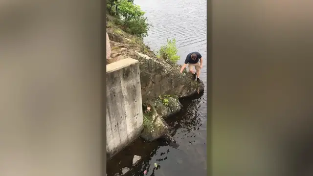 'Video thumbnail for Hero Rescues Stranded Yorkshire Terrier From Drowning | Wild-ish TV'
