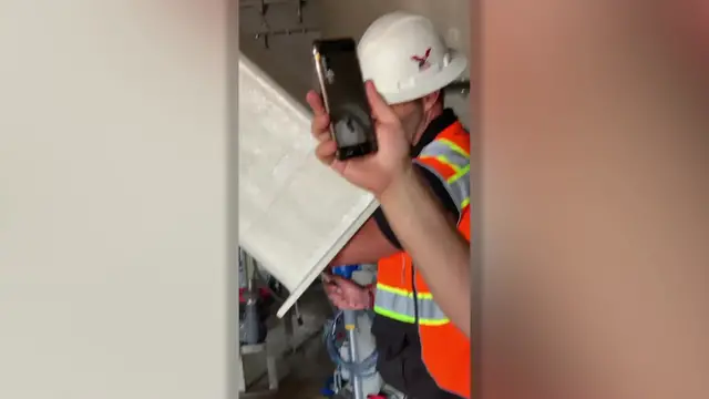 'Video thumbnail for Owl Cut-Free From Inside Giant Pipe | Wild-ish TV'
