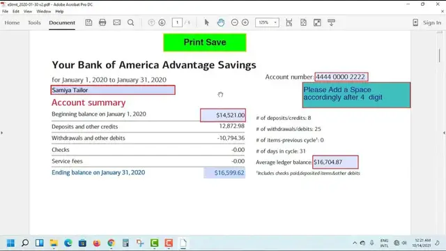 'Video thumbnail for Bank of America Editable Bank Statement Template January February 2020'
