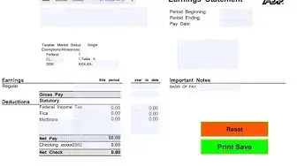 'Video thumbnail for Editable Paystub Template'