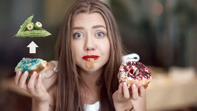 'Video thumbnail for 10 Best Businesses to Start with No Money'