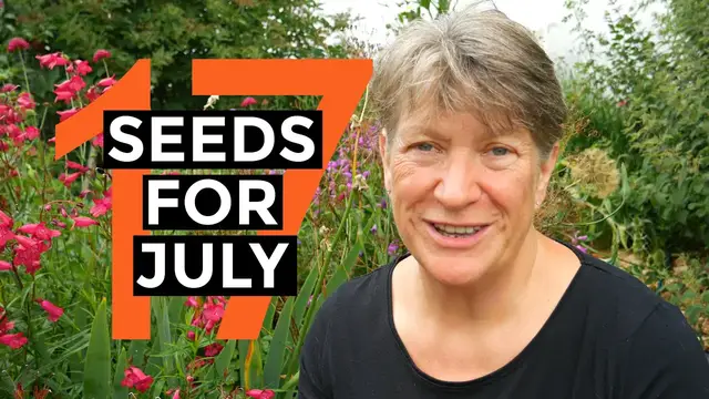 'Video thumbnail for What to sow in July | Easy to grow food | Self-sufficient vegetable garden'