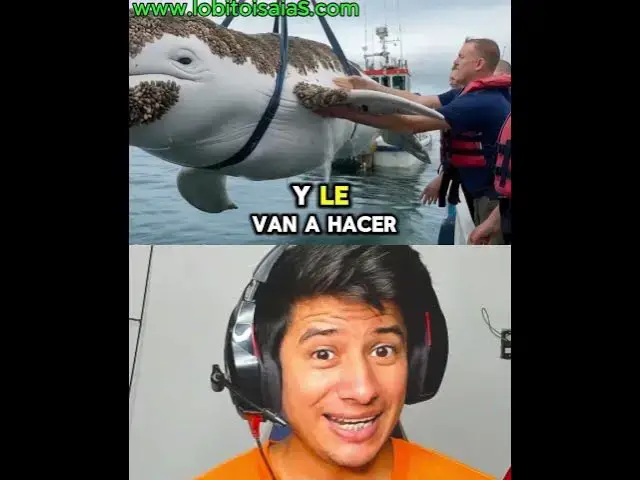 'Video thumbnail for Esto no parece real'