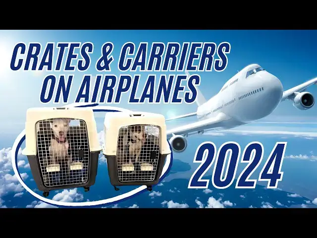 'Video thumbnail for The BEST *airline approved* PET CRATE & CARRIER for your DOG or CAT | Flying with your pet in 2024'