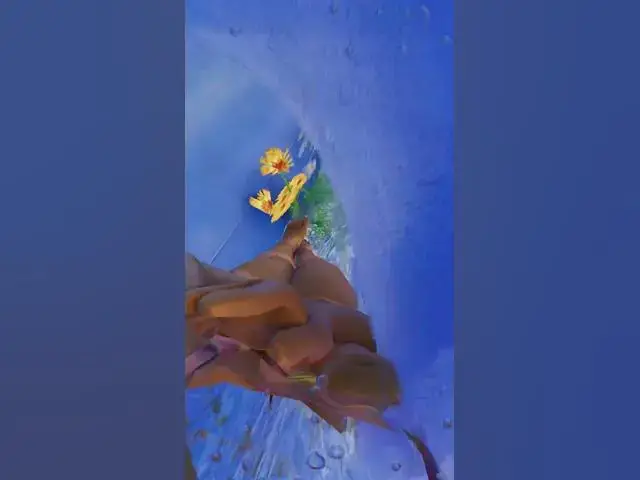 'Video thumbnail for Planet Coaster 2 Most Realistic Waterpark Walking In First Person'