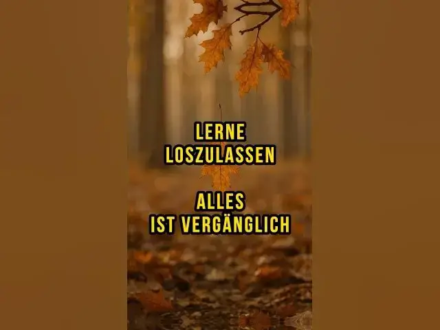 'Video thumbnail for Wie du innere Ruhe findest – mit stoischer Klarheit  #stoizismus'