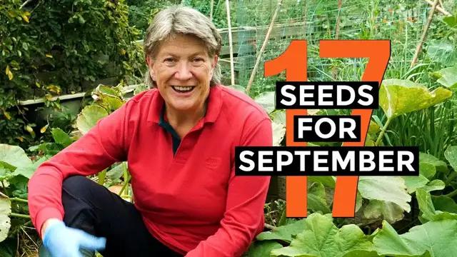 'Video thumbnail for What to sow in September | Easy to grow | Veggie seeds for September'