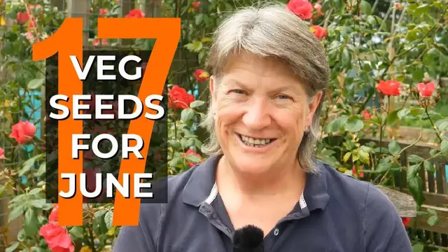 'Video thumbnail for What to Sow in June | EASY to Grow Food | Self Sufficient Vegetable Garden'