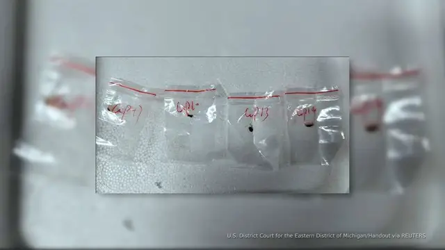 'Video thumbnail for Chinese nationals charged with trying to smuggle ‘agroterrorism’ pathogen to US'