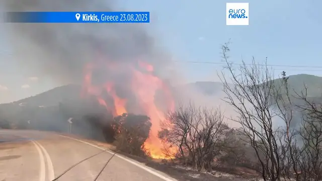 'Video thumbnail for European Court of Auditors flags inefficiencies in EU wildfire spending'