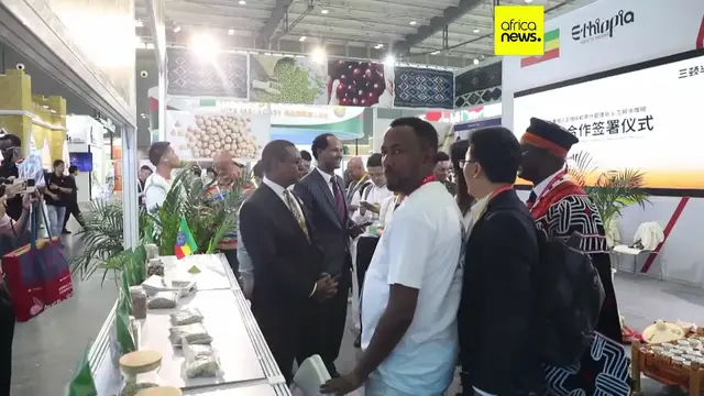 'Video thumbnail for Fourth edition of China-Africa Economic and Trade Expo opens in Changsha'