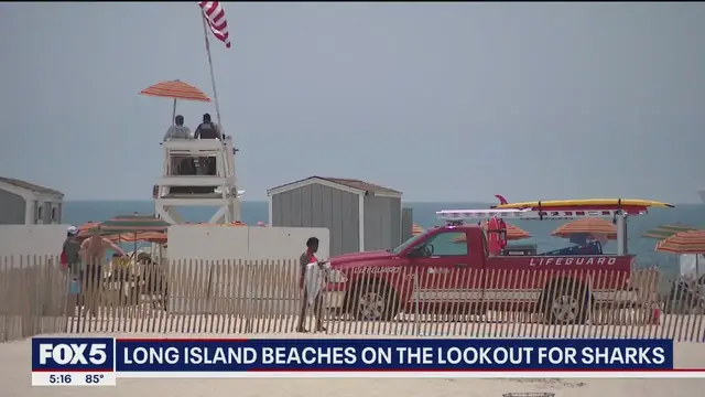 'Video thumbnail for Long Island sees an increase in shark sightings'