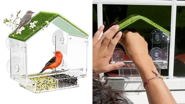 'Video thumbnail for Window Clear Acrylic Bird Feeder Review'