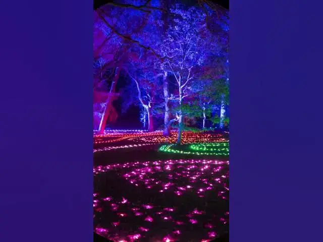 'Video thumbnail for Stunning Gardens by Night 🌙✨ | Magical Landscapes Lit After Dark'