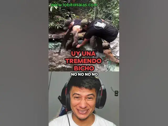 'Video thumbnail for Tremenda serpiente en el patio'