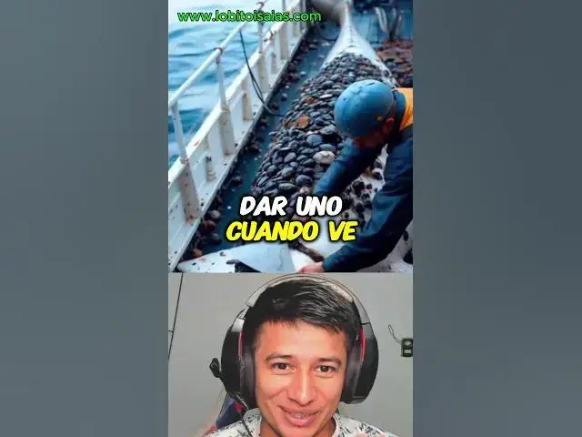 'Video thumbnail for Así desparacitan los peces'