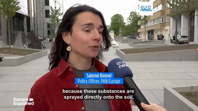 'Video thumbnail for Traces of 'forever chemical' found in European wines, new study reveals'