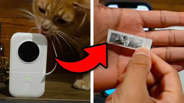 'Video thumbnail for Everything To Know About The Phomemo Label Maker Machine D30'
