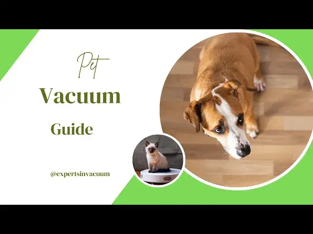 'Video thumbnail for Ultimate Pet Vacuum Guide Top Picks for Pet Hair Removal'