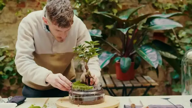 'Video thumbnail for Tips to Grow Aloe Vera'