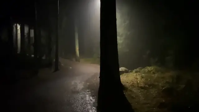 'Video thumbnail for Experience Stranger Things Haunted House at Six Flags Fright Fest 2024 – Magic Mountain Terror Awaits! 2025-06-08'