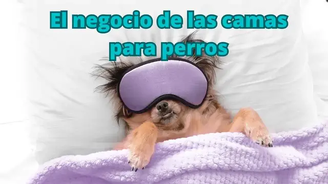 'Video thumbnail for 🐕Gana dinero haciendo camas para perros   ❤️'