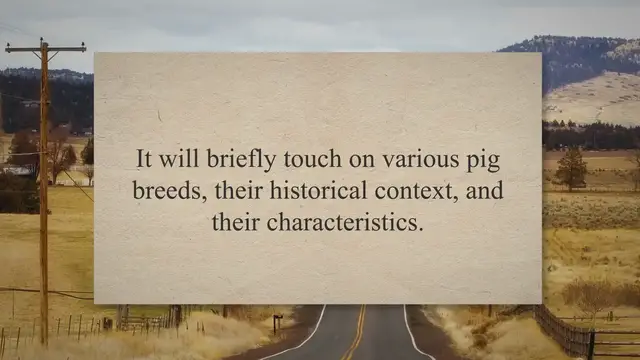'Video thumbnail for Exploring Pig Breeds: History and Unique Features'