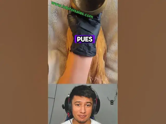 'Video thumbnail for Este video te hará reflexionar 🤣'