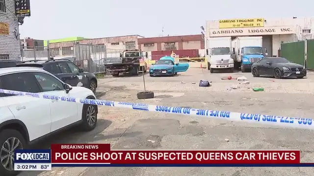 'Video thumbnail for NY News update: Cops shoot suspected car theives; Weinstein verdict watch'