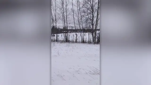 'Video thumbnail for Hiker Rescues Kitten In Subzero Temperatures And Adopts It | Wild-ish TV'