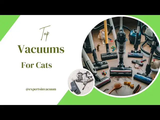 'Video thumbnail for Top Vacuum Cleaners for Cat Hair and Litter Cleanup'
