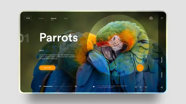 'Video thumbnail for How To Make Latest Website Design In Adobe XD _ Modern Website UI Design'