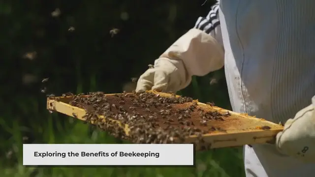 'Video thumbnail for The Buzzing Benefits of Beekeeping: More Than Just Honey'