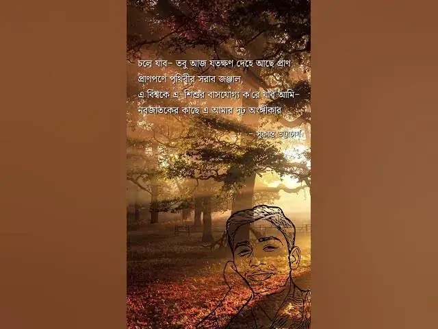 'Video thumbnail for #সুকান্ত #ছাড়পত্র #কবিতা #আবৃত্তি #sukantabhattacharya  #kobita  #abritti  #bidrohi'