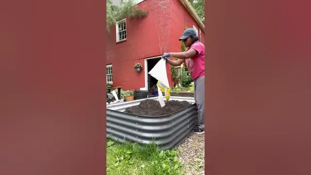 'Video thumbnail for Raised bed Gardening | Filling raised garden beds #diygardening #gardening #growplants #homesteading'
