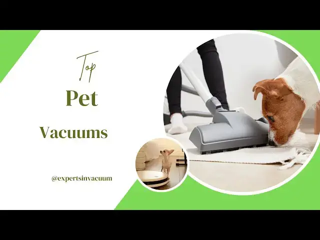 'Video thumbnail for Top Pet Vacuum Cleaners Best Choices for Pet Owners'