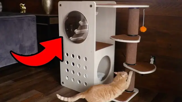 'Video thumbnail for How To Build The Feandrea Clickat Collection Cat Tree'