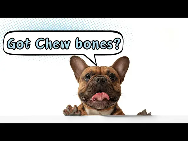 'Video thumbnail for Dog Chew Bones - Doggozila Magazine'