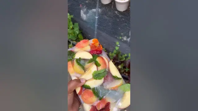 'Video thumbnail for Sweet Treat for your chickens in the summer #backyardchickens #chickens #chickencare #popcicle'