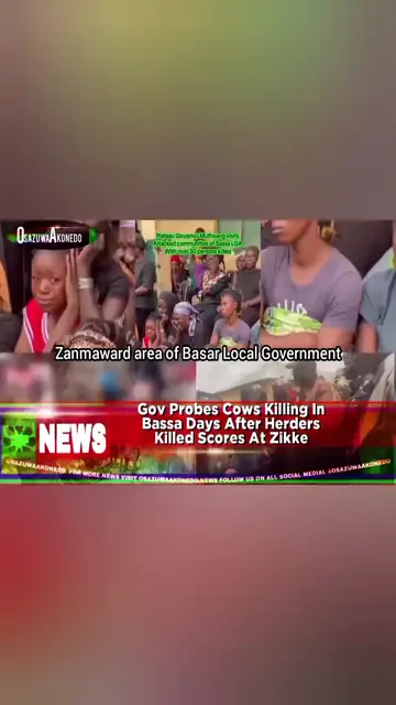 'Video thumbnail for Gov Probes Cows Killing In Bassa Days After Herders Killed Scores At Zikke '