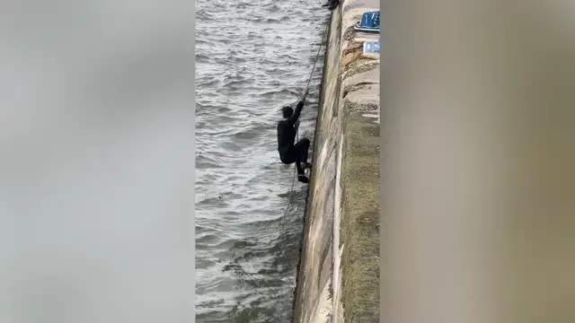 'Video thumbnail for After Dog Falls 15ft Into River Strangers Coax It To Safety | Wild-ish TV'