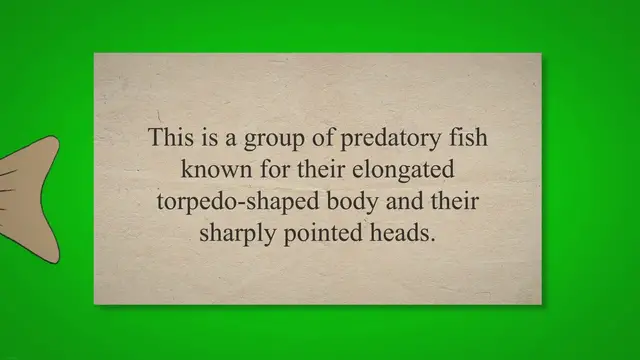 'Video thumbnail for All About Pike: The Water Wolf'
