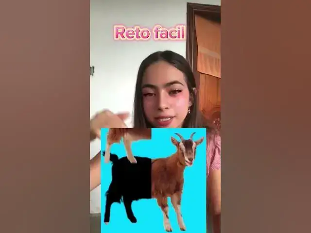 'Video thumbnail for Reto facil #retosvirales #retoshorts'