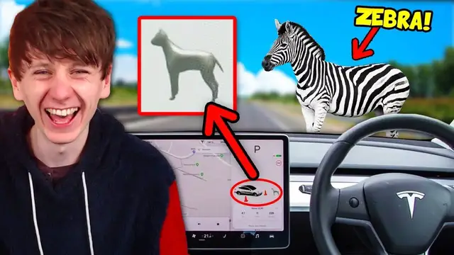 'Video thumbnail for Tesla Can Officially See ANIMALS on Screen! Let's test it!'