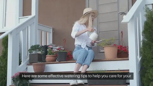'Video thumbnail for Watering Tips for Healthy Plants'