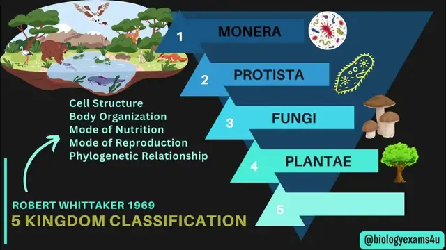 'Video thumbnail for 5 Kingdom Classification with Examples - Whittaker | An Overview | Biological Classification'