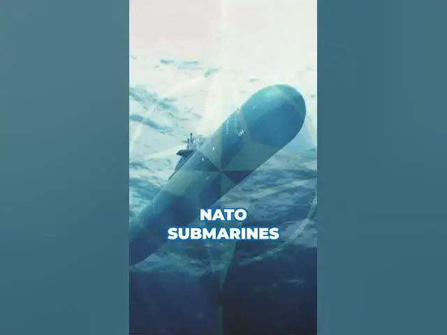 'Video thumbnail for Cruise Ship That’s A Russian Spy Ship #shorts'