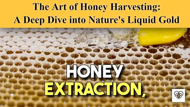 'Video thumbnail for The Art of Honey Harvesting: A Deep Dive into Nature's Liquid Gold'