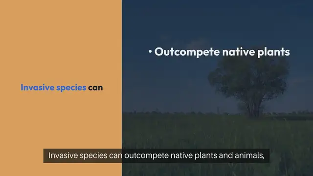 'Video thumbnail for Preventing Invasive Species from Spreading'